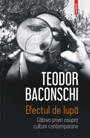 Efectul de lupă. Câteva priviri asupra culturii contemporane