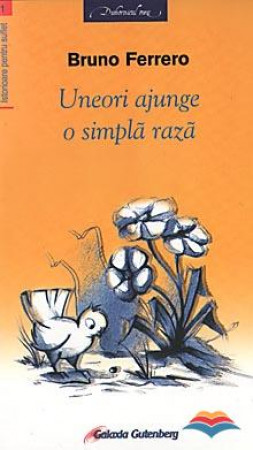 Uneori ajunge o simpla raza