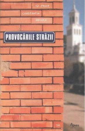 Provocarile strazii