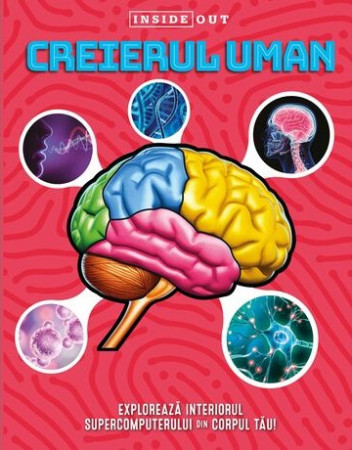 Inside out - Creierul uman