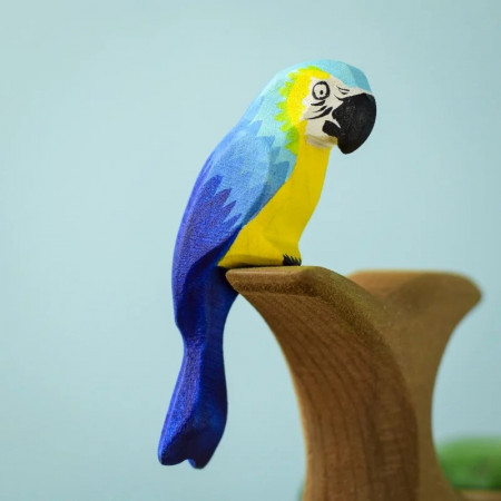 Papagal Macaw albastru