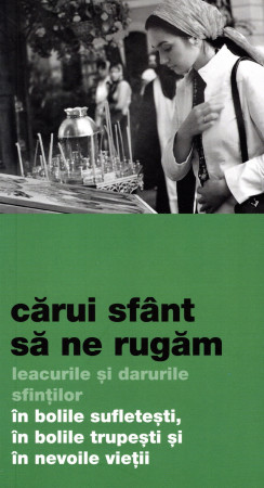 Cărui sfânt să ne rugăm. Leacurile și darurile sfinților în bolile sufletești, în bolile trupești și în nevoile vieții