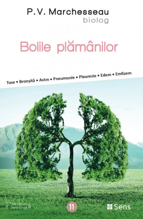 Bolile plămânilor