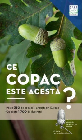 Ce copac este acesta?